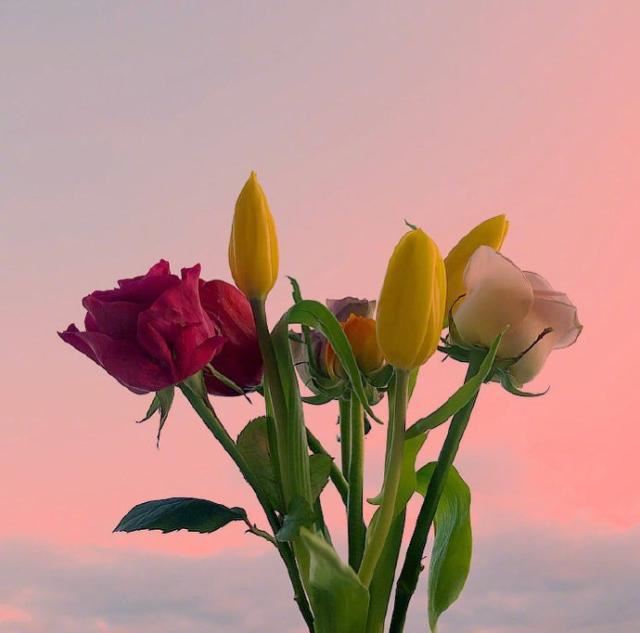 “洋装虽然穿在身”　《猜6字常言》