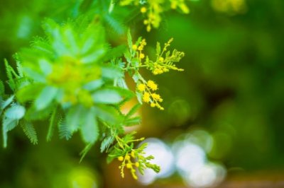 猜谜语题目:贵在廉洁《打一个黑龙江地名》