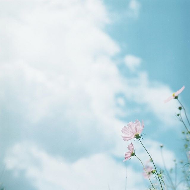 果然生气 《中医名词二》