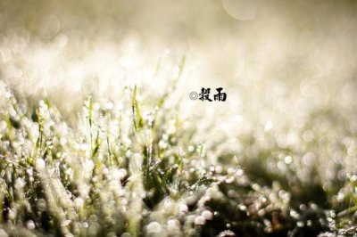 三八多面手《猜一《红楼梦》人名》