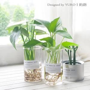 那点隐私偶一提_两人吹得特火 《常用词》