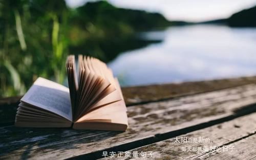只生一个少负担 《中药二》