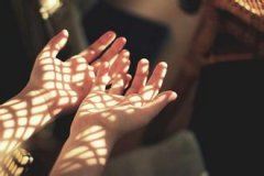 残阳如血《猜一花卉名》