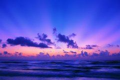 实现 《饮料名》