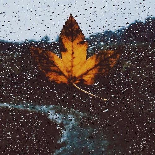 白小就有惜才心 《骊珠》