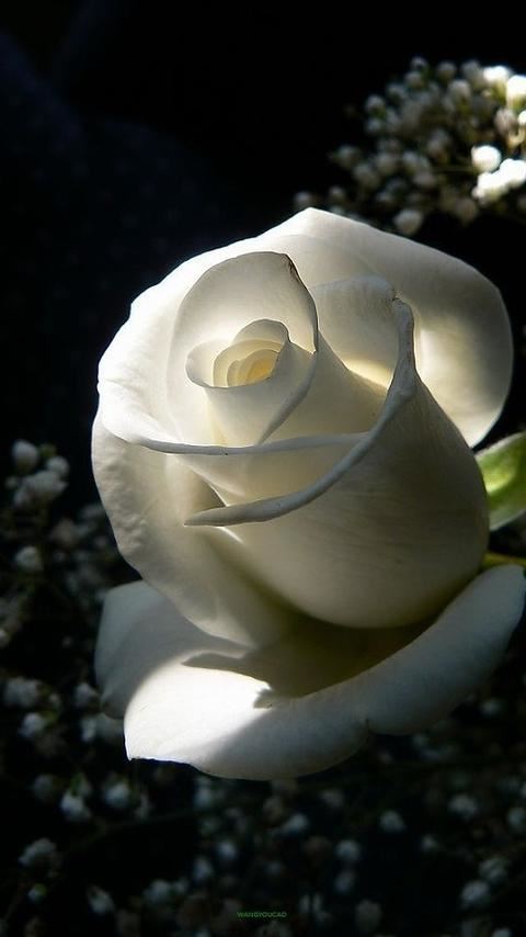 书圣传说千载长《猜一字谜》