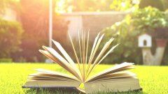 贡献杰出能光宗《猜一动物》