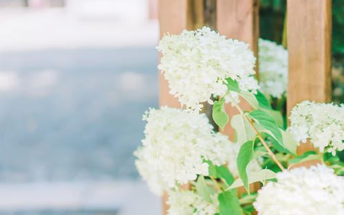 奏上灯谜请君猜 《佛教词语一》