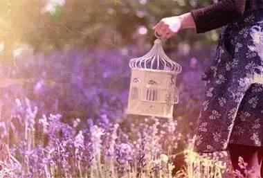 愿学抱柱为君绝 《交通用语》