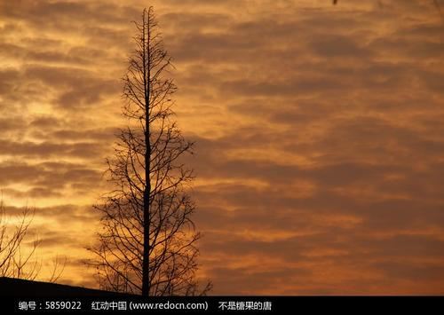 猜谜语题目:十月十日武昌起义《打一个字》