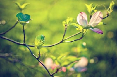 谜题谜材都错了　《猜成语一》