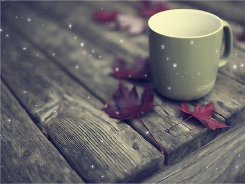 户户有家庭音响 《环保词语一》