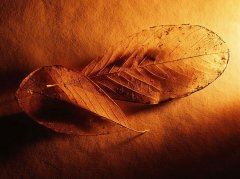 成双成对人离去 《北京名胜》