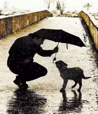 无边落森萧萧下·卷帘格《猜一植物学词语》