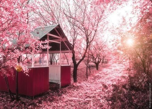 家有贤妻 《称谓、职务一》