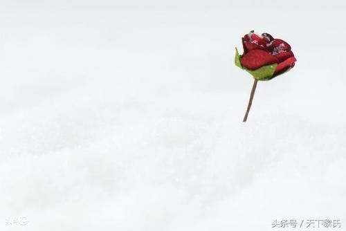 春临山东雨绵绵 《乐器名》