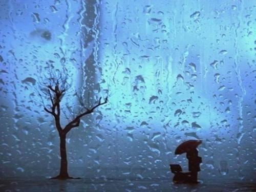 庄前杨柳争相映 《十一画单字》