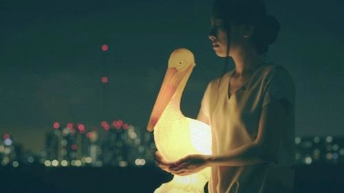 银海春光好_扁舟环山来《猜一动物名》